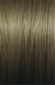ILLUMINA 7/81 - 60ML LAEP