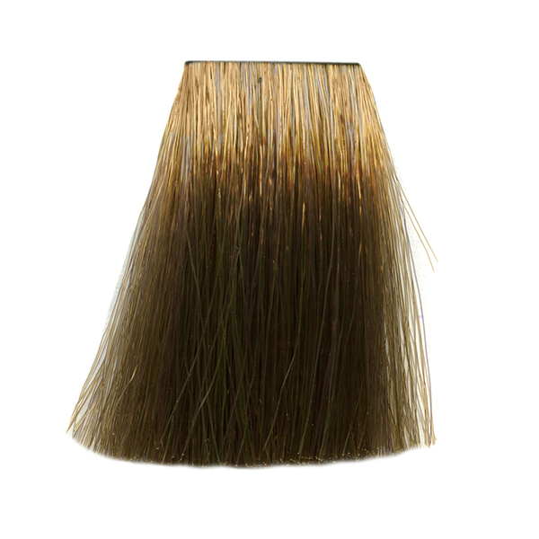 SC 60ML ASH  8/1