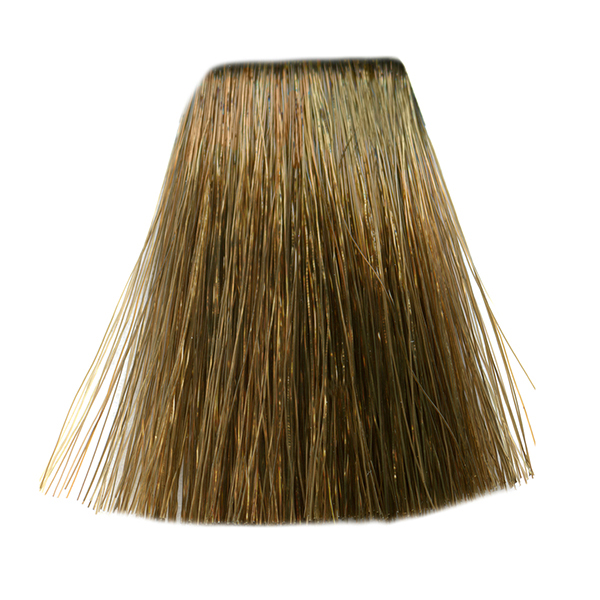 SC 60ML BROWNS /BEIGES 7/7