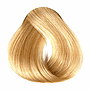 MAGIA 10.31 BEIGE 47GR SACHET                     