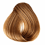 MAGIA 7.73 RUBIO CHOC DORADO 47GR SACHET          