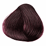 MAGIA 4.20 ROSA NEGRA VIOLINE 47GR SACHET         
