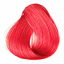 MAGIA 6.66 MUY ROJO MEDIANO 47GR SACHET           