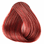 MAGIA 5.26 BORRAVINO CIRUELA 47GR SACHET          